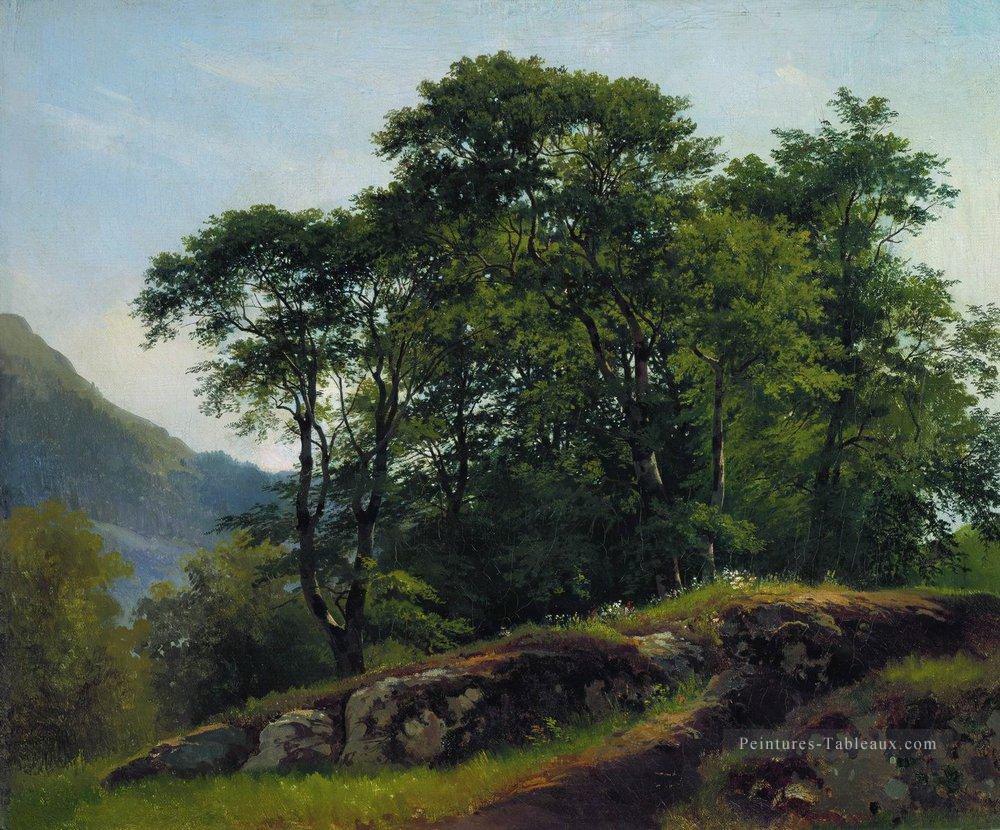 forêt de hêtres en Suisse 1863 paysage classique Ivan Ivanovitch Peintures à l'huile